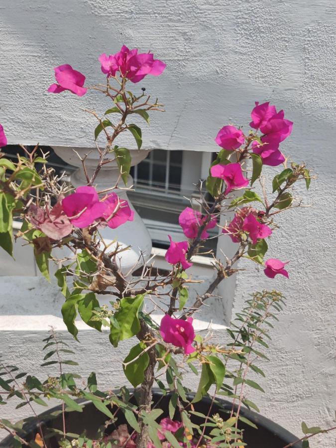 Appartamento Yoga House Vanivilasa Puram Esterno foto